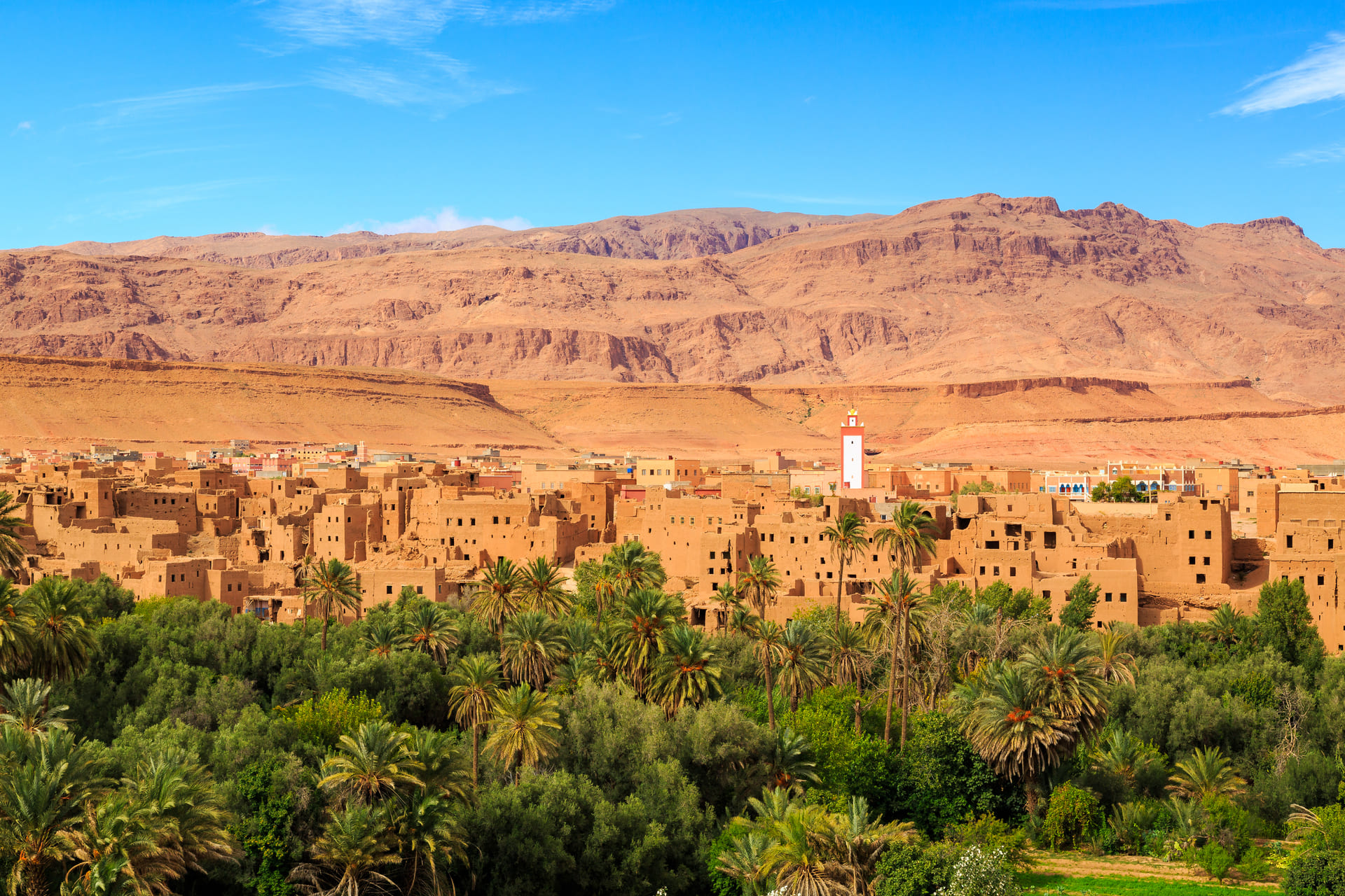 City in desert and palm trees