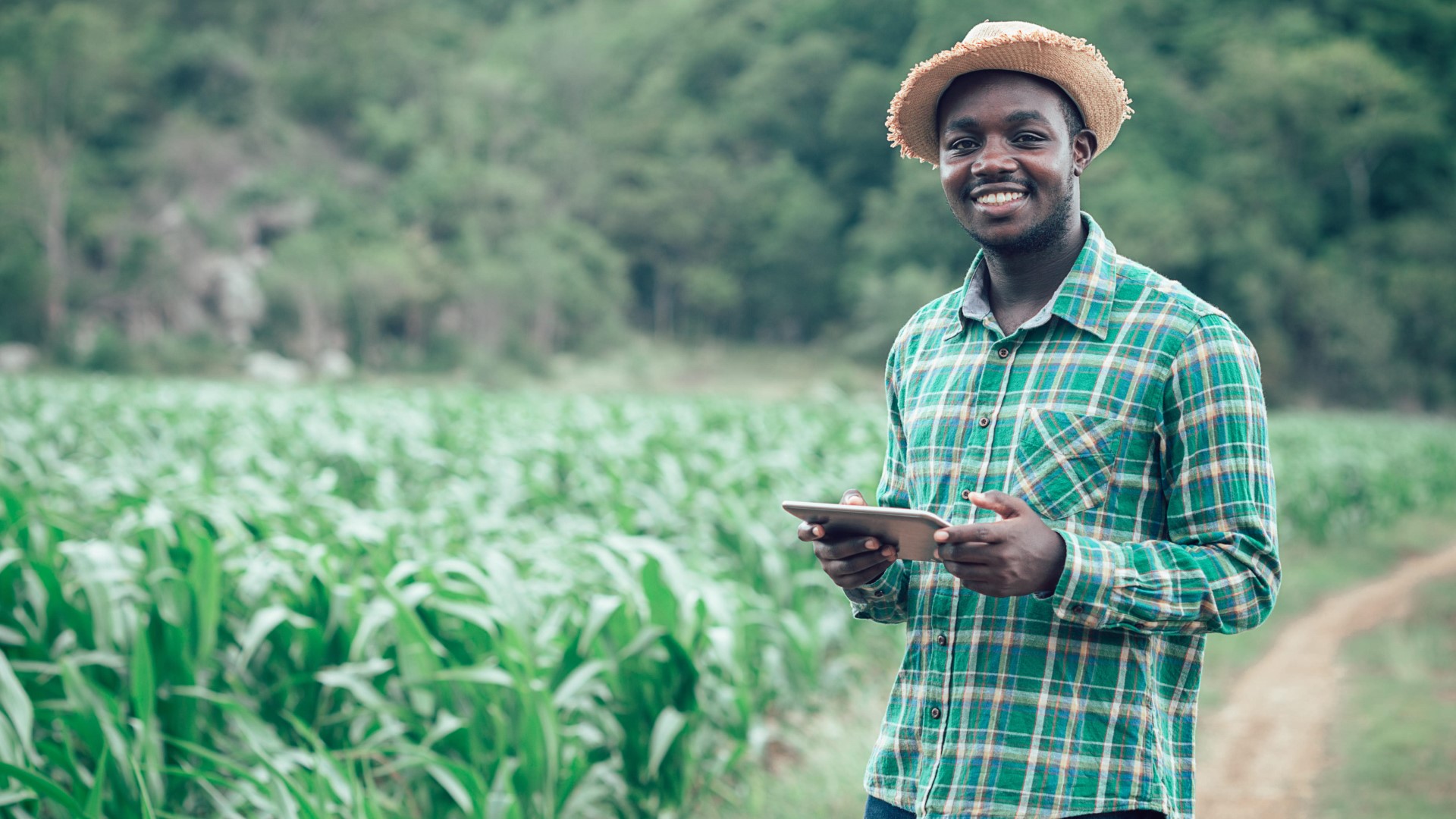 Farmer on field holding tablet 