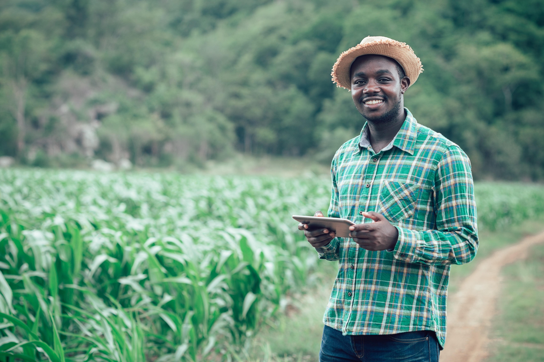 Farmer on field holding tablet