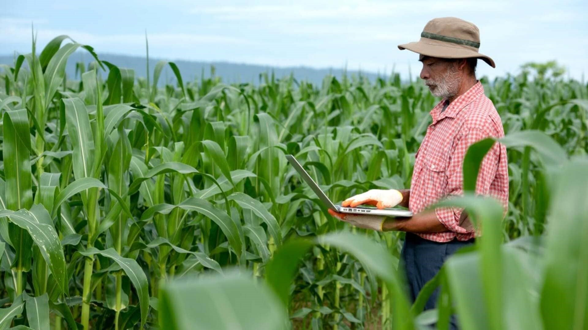 Farmer using digital tablet