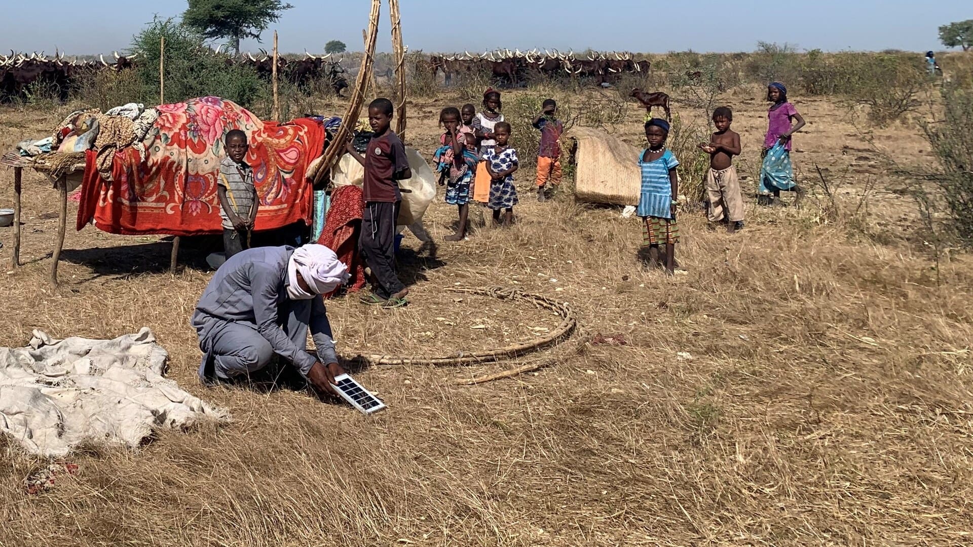 Mbororo community of Hindou Ibrahim