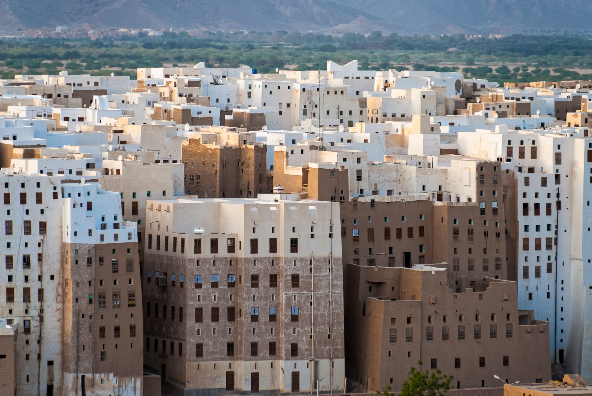 Multi-storey buildings made from mud in Shibam