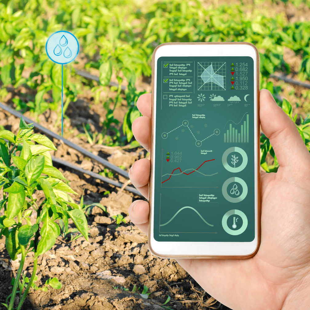 Smart irrigation