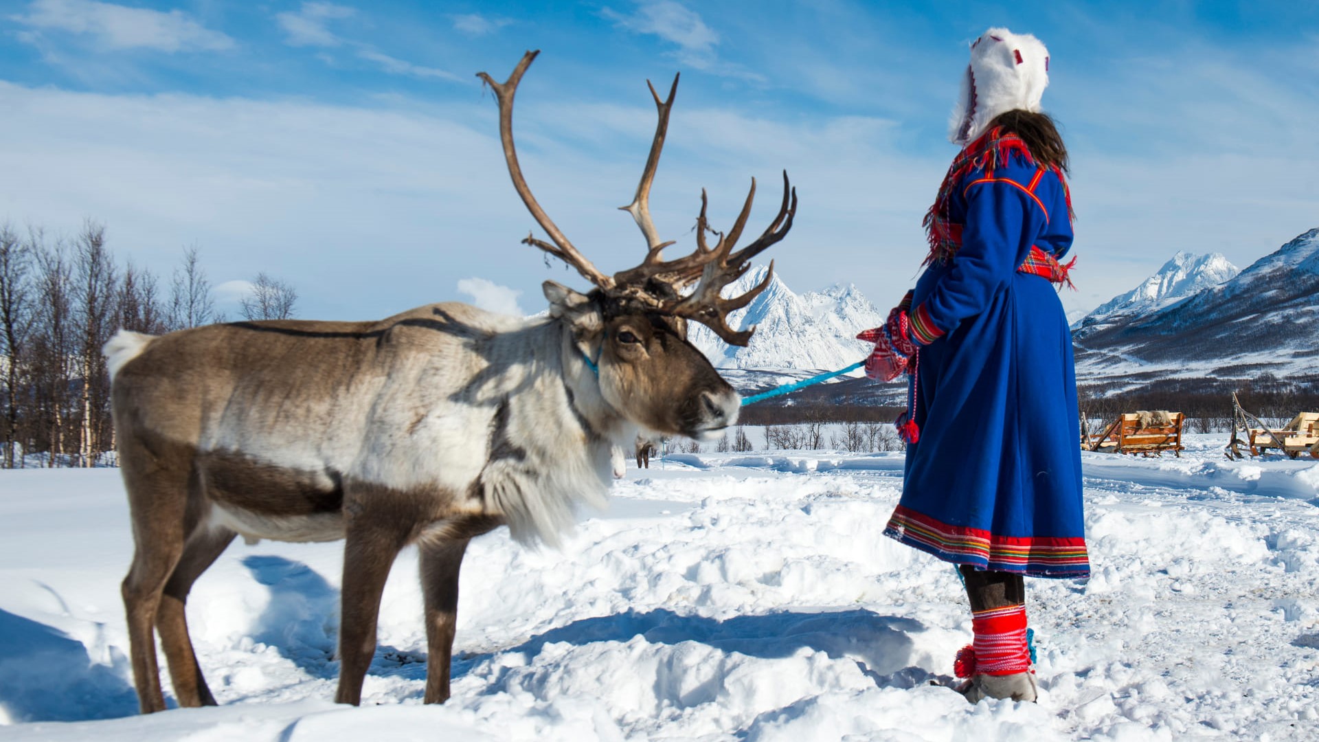 Traditionally dressed Sami woman