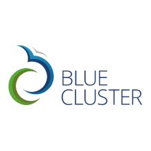 Logo Blue Cluster